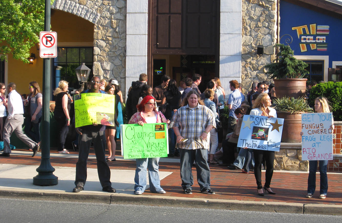 미국 MD 베데스다 엉클 줄리오스 시위 리오그란데 개구리 다리 2011-05-05