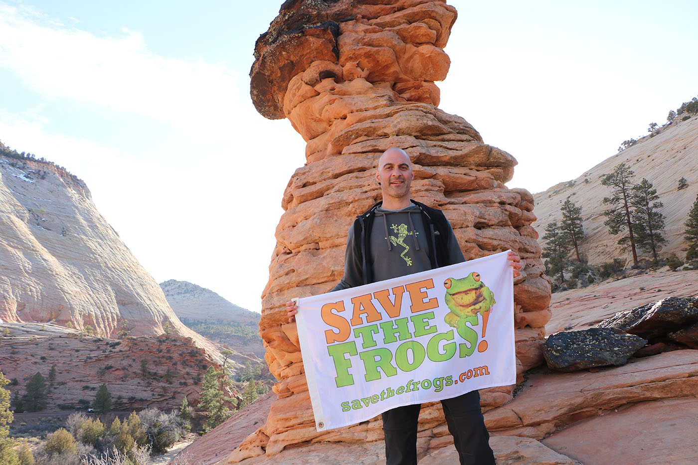 USA Utah Zion Save The Frogs Flag Kerry Kriger