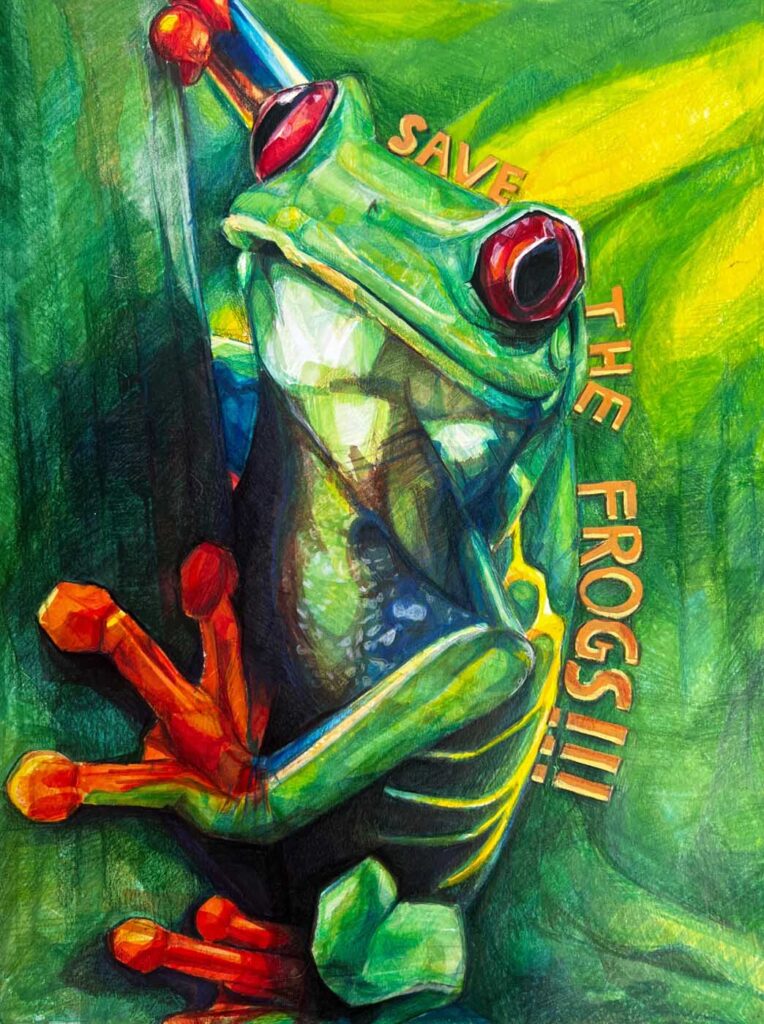 谢瓦丽莎(Valisa Xie)入围2025年美国“拯救青蛙”艺术大赛决赛