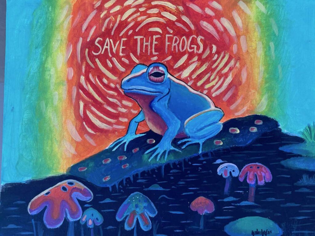 Victoria Wei USA 2023 save the frogs art contest 1