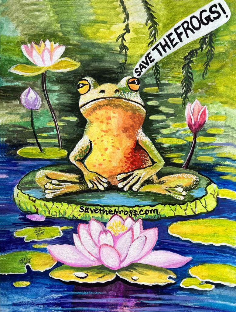 Vikramaditya Vippaheli USA 2023 save the frogs art contest 1