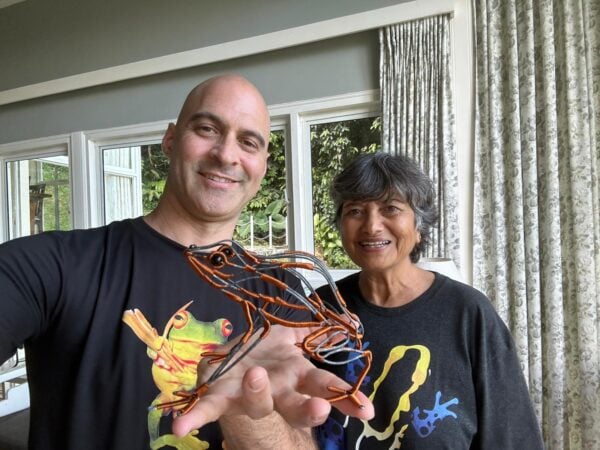 Wire Frog Art - Borneo - Choti Singh and Kerry Kriger