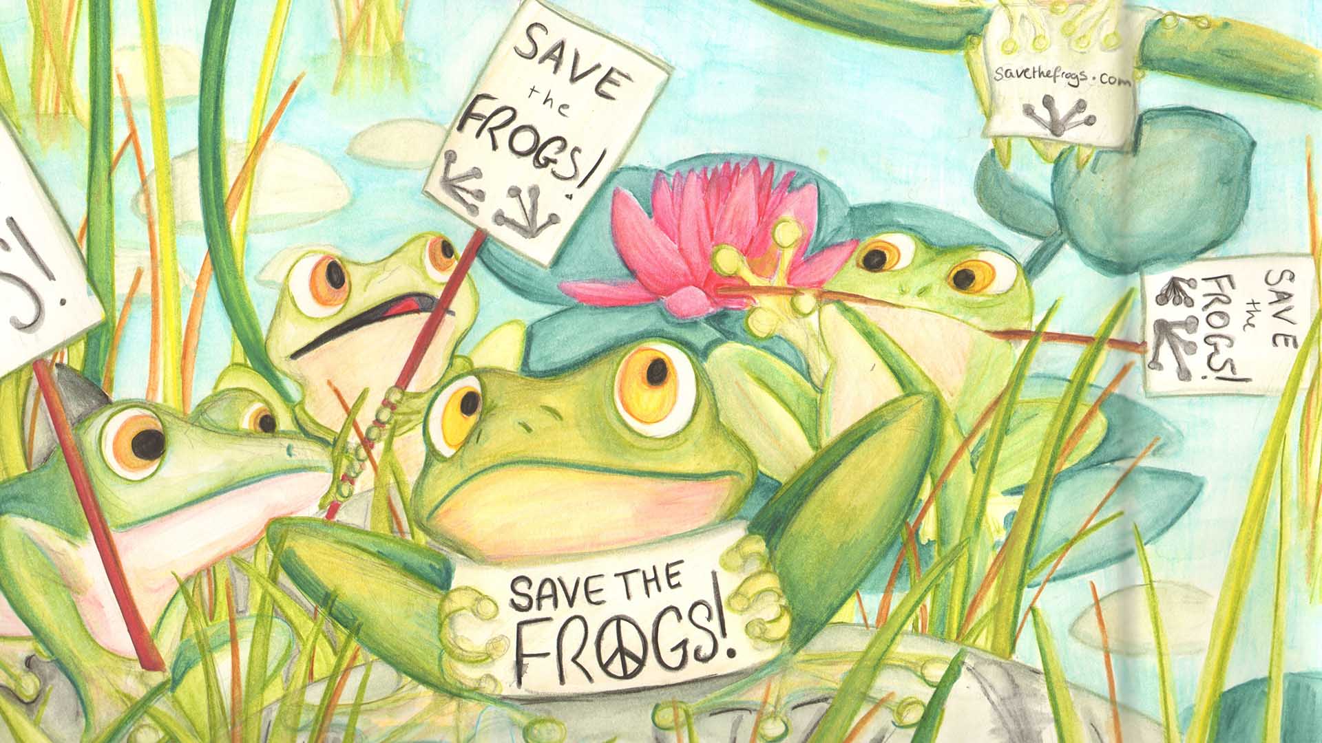 Save The Frogs When You Shop On Amazon