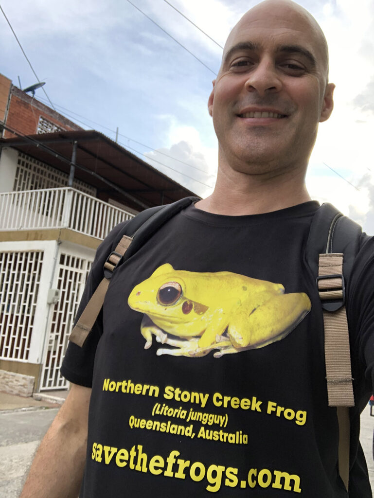 Yellow Frog litoria jungguy Save The Frogs Shirt Kerry Kriger 1000 1