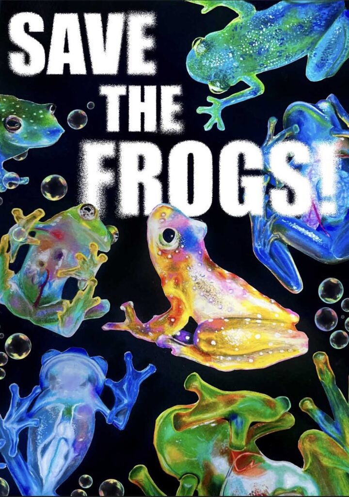 Yeram Lee,韩国,2025年拯救青蛙艺术大赛决赛入围者