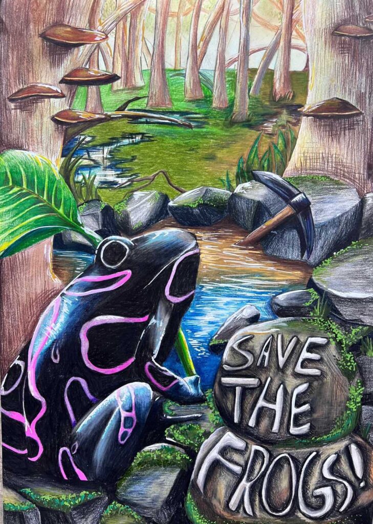 王怡兰,2025年新加坡拯救青蛙艺术大赛决赛入围者