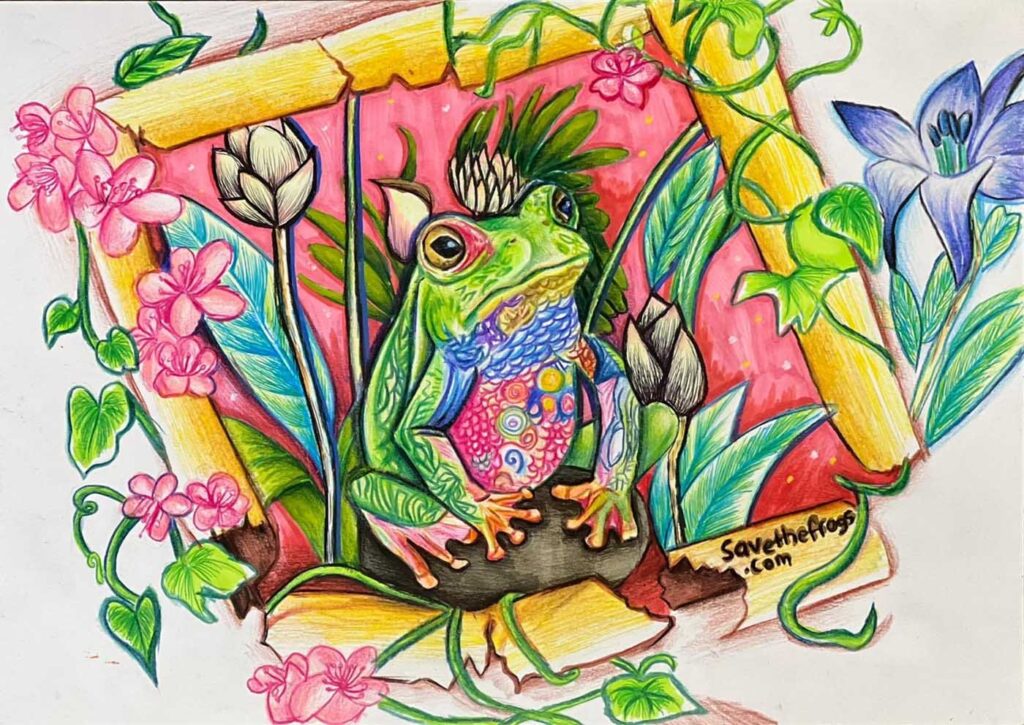 Yiran-Chen-Singapore-2025-Save-The-Frogs-Art-Contest-Finalist-With-Extra-Honors