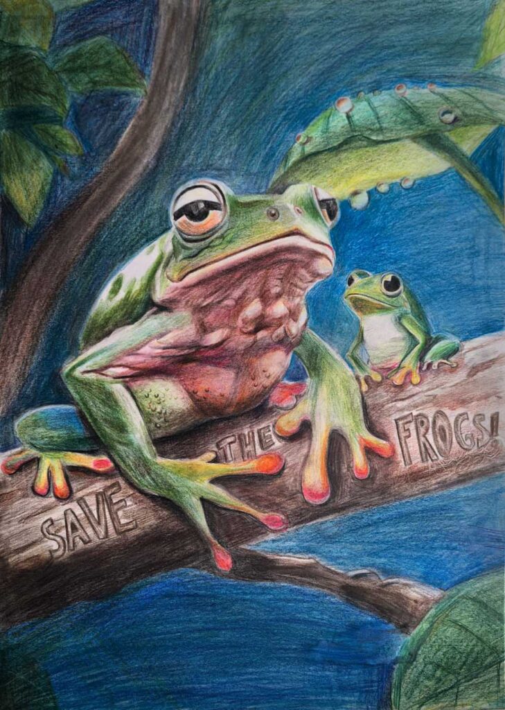 云武,2025年新加坡拯救青蛙艺术大赛决赛入围者