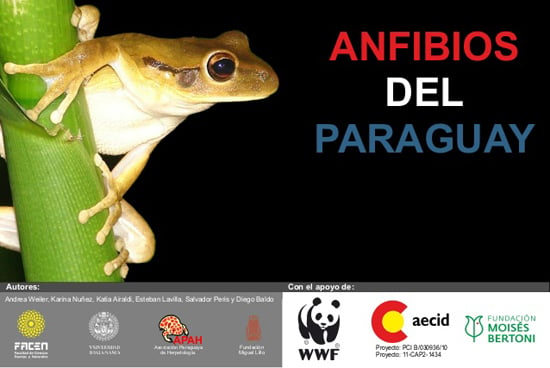 anfibios del paraguay book