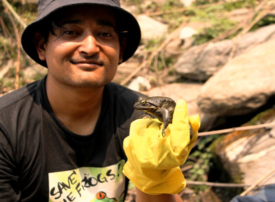 Mohamed bin Zayed Species Conservation Fund Supports the Amphibians of Nepal