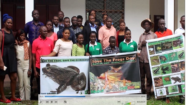 cameroun save the frogs day 2017