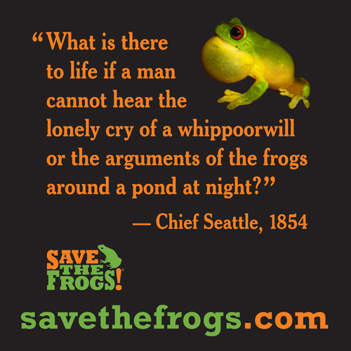 Why Frogs Are Important - SAVE THE FROGS!