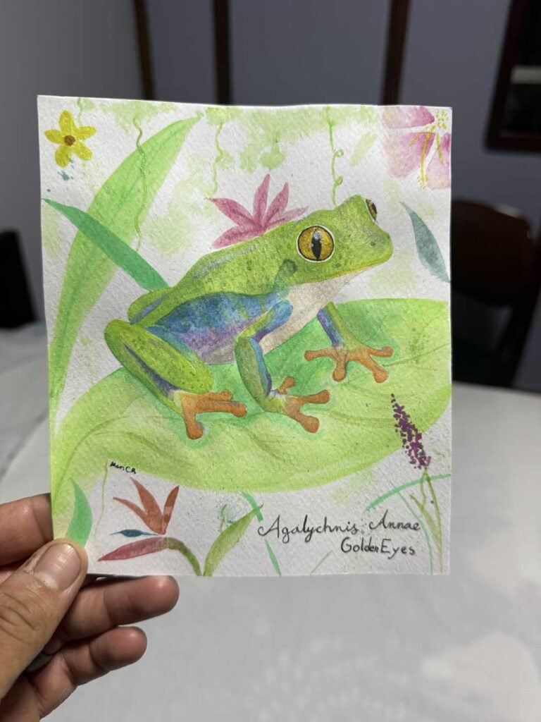 Costa Rica Volunteering Gage Denney May 2026 Save The Frogs 52