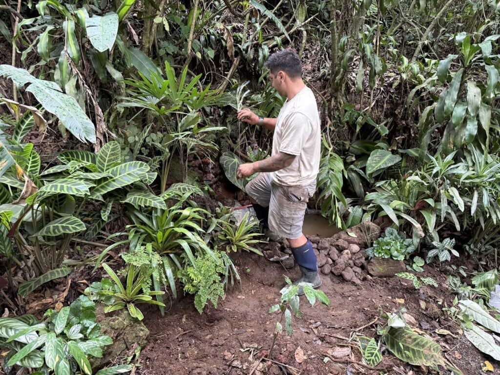 Costa Rica Volunteering Gage Denney May 2026 Save The Frogs 53