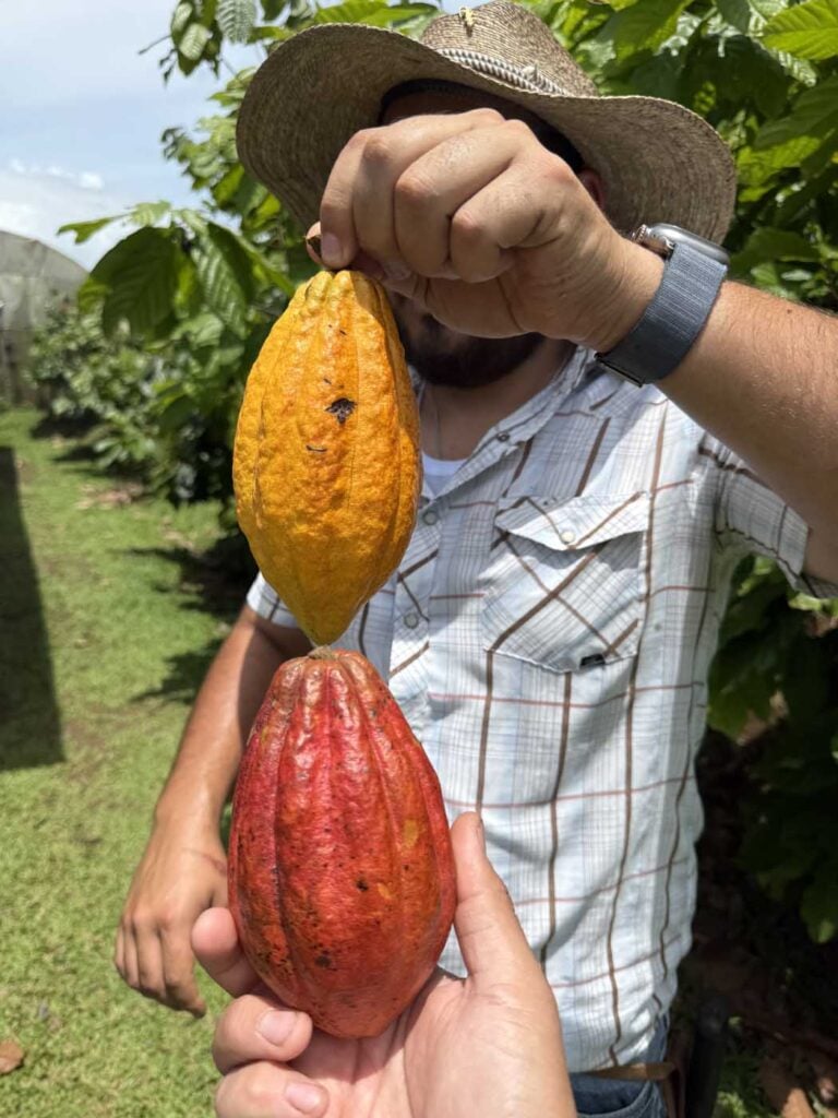 Costa Rica Volunteering Gage Denney May 2026 Save The Frogs 72