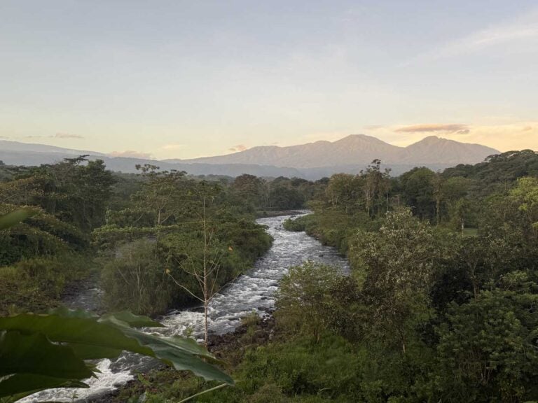 Costa Rica Volunteering Gage Denney May 2026 Save The Frogs 87