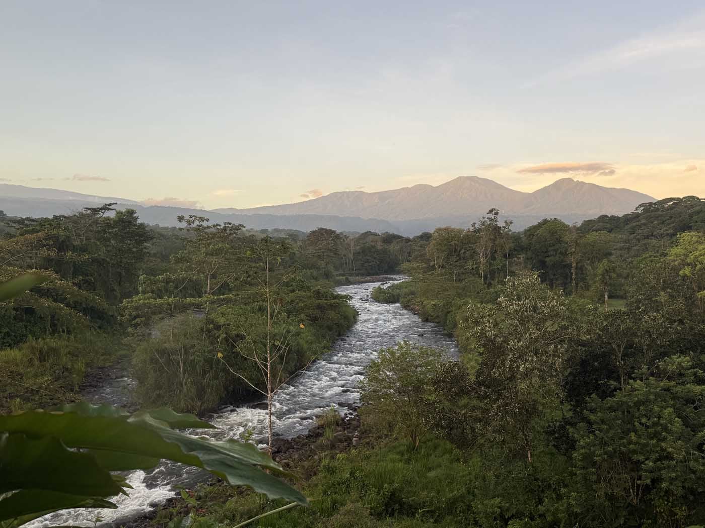 Costa Rica Volunteering Gage Denney May 2026 Save The Frogs 87