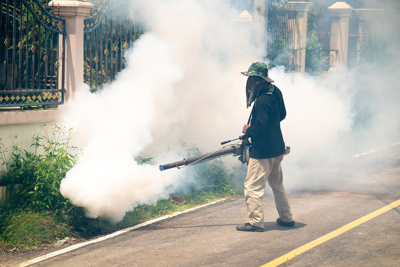 fumigation mosquitoes spraying