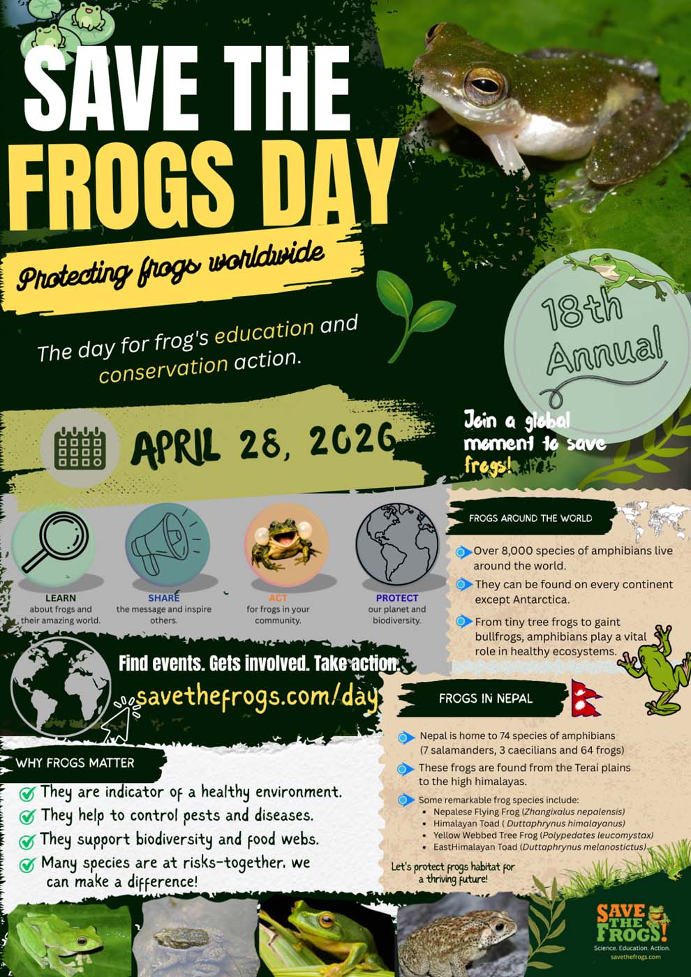 Save The Frogs Day flyer by Gaurab Khadka, Honorable Mention