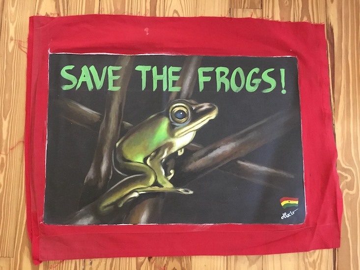 Disney Worldwide Conservation Fund Awards SAVE THE FROGS! Ghana $20,000