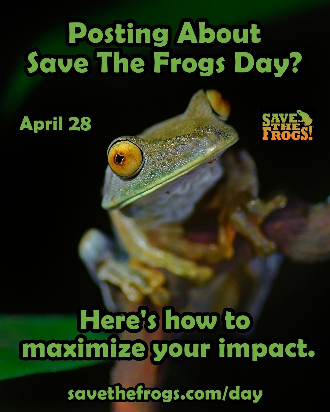 How To Post About Save The Frogs Day Vertical 4x5 1