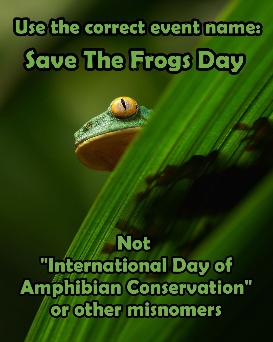 How To Post About Save The Frogs Day Vertical 4x5 2
