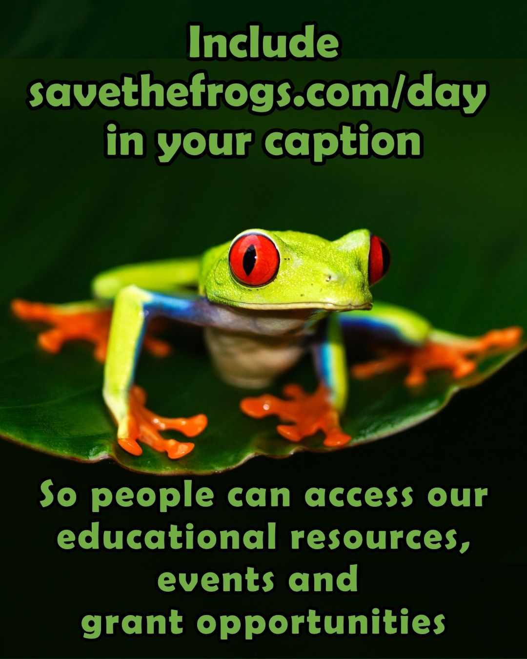 How To Post About Save The Frogs Day Vertical 4x5 4
