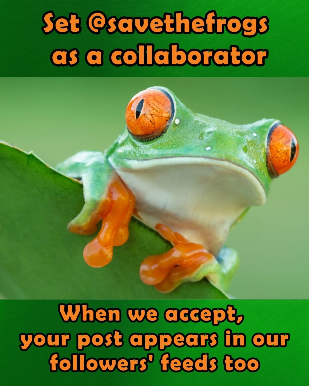 How To Post About Save The Frogs Day Vertical 4x5 5