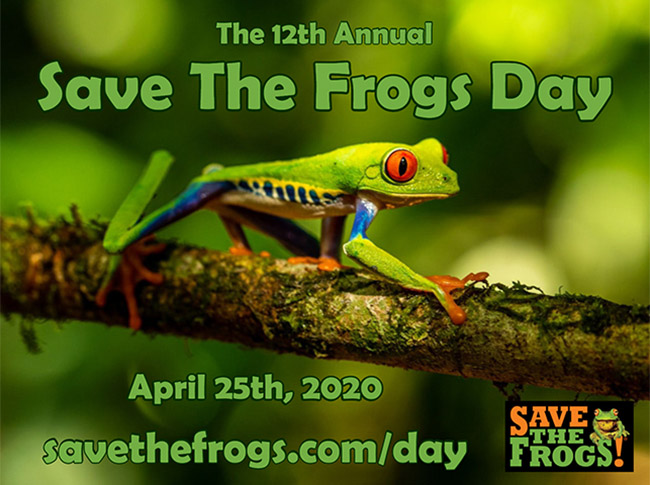 Save The Frogs Day 2020