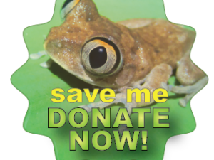 donate frogs