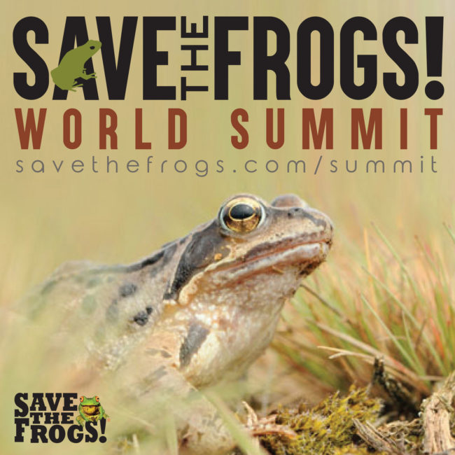 save the frogs world summit 2018