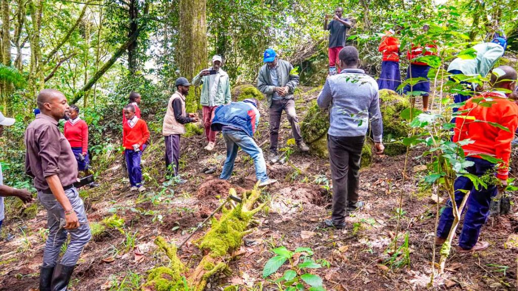 Kenya Taita Hilla Save The Frogs Day 2026-04-28 Fredrick Kioko Kilonzo Event 10