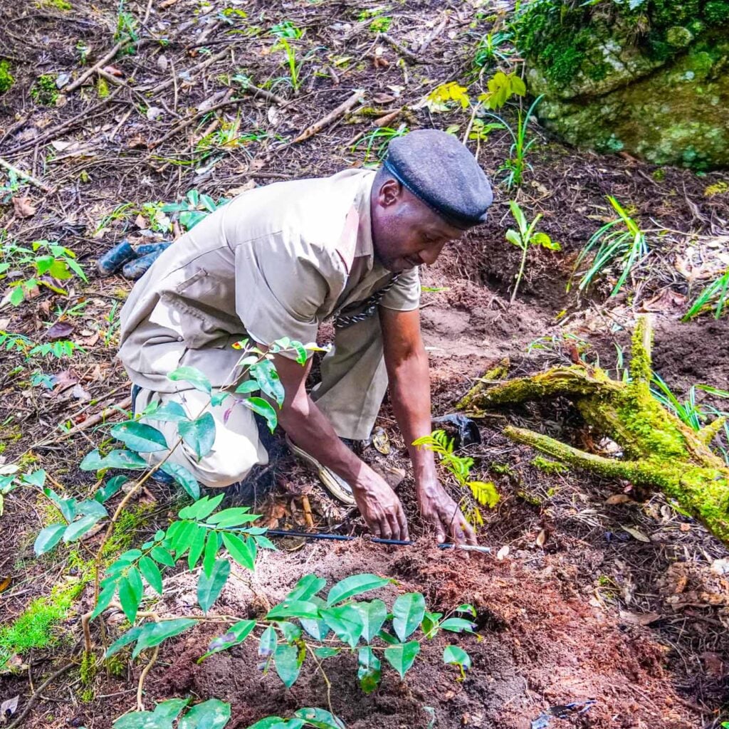 Kenya Taita Hilla Save The Frogs Day 2026-04-28 Fredrick Kioko Kilonzo Event 13