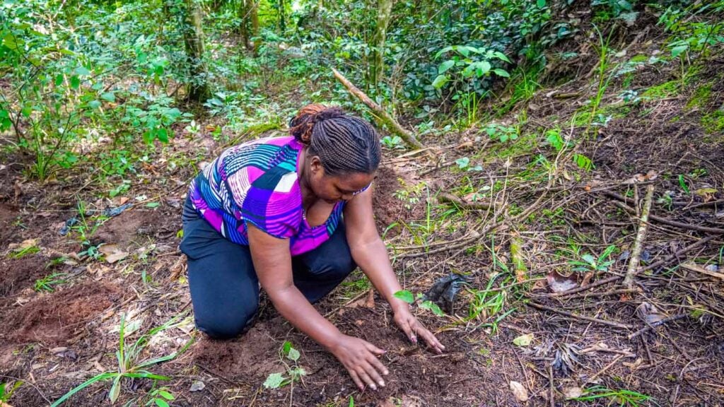 Kenya Taita Hilla Save The Frogs Day 2026-04-28 Fredrick Kioko Kilonzo Event 18