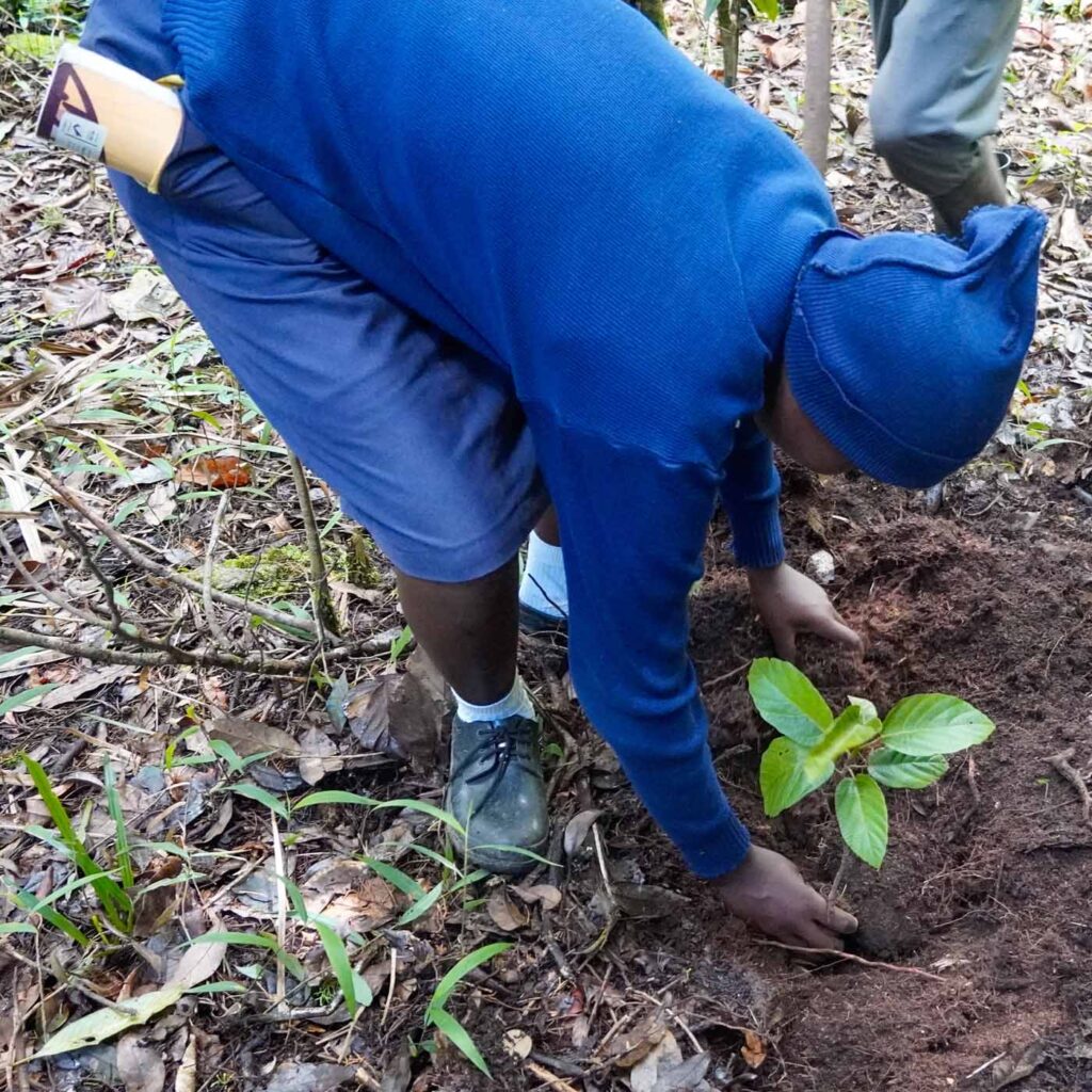 Kenya Taita Hilla Save The Frogs Day 2026-04-28 Fredrick Kioko Kilonzo Event 24