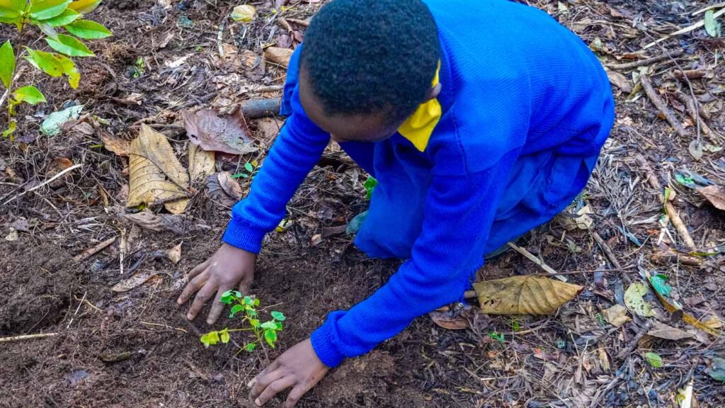 Kenya Taita Hilla Save The Frogs Day 2026-04-28 Fredrick Kioko Kilonzo Event 28