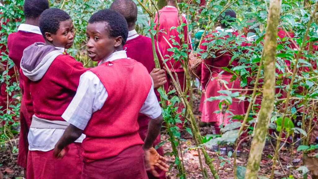 Kenya Taita Hilla Save The Frogs Day 2026-04-28 Fredrick Kioko Kilonzo Event 29