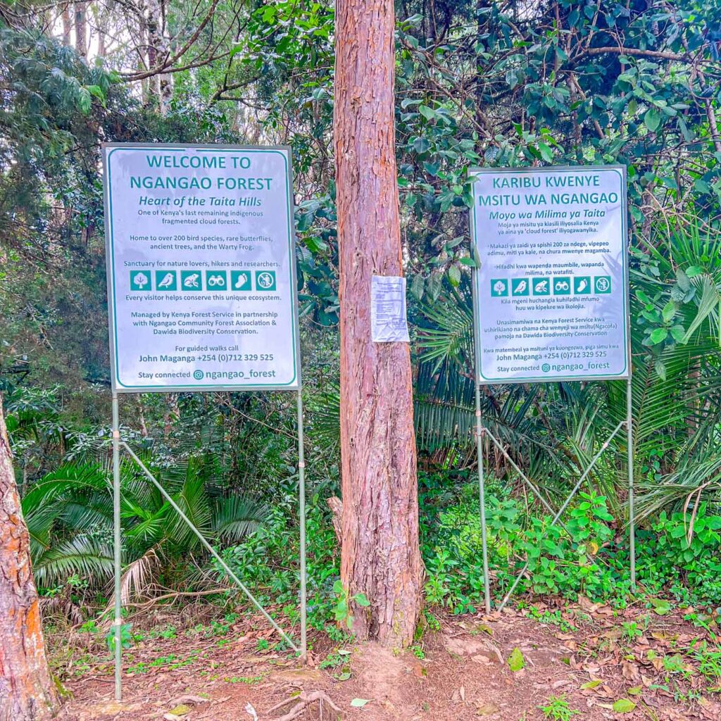 Kenya Taita Hilla Save The Frogs Day 2026-04-28 Fredrick Kioko Kilonzo Event 35