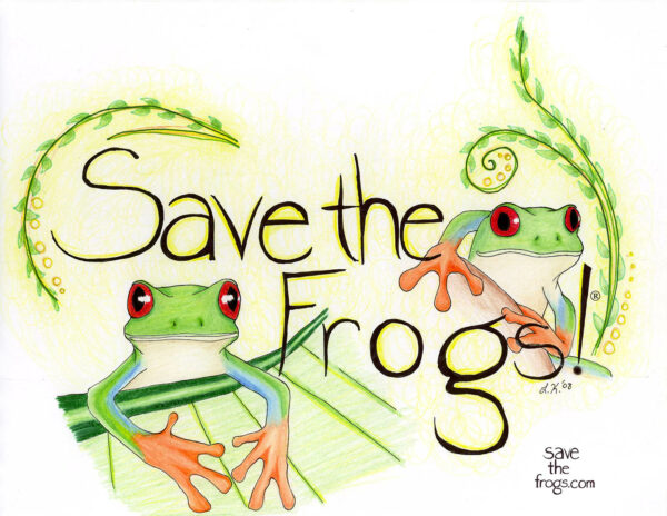 leah red eyed treefrogs 1400 1 1