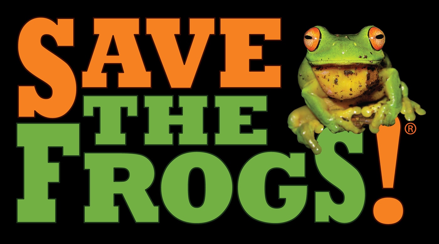 Logo Save The Frogs Black No URL