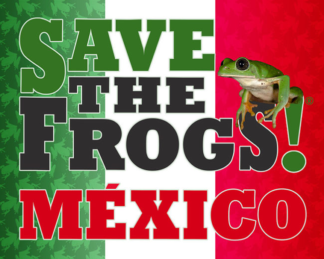 SAVE THE FROGS! Mexico Logo