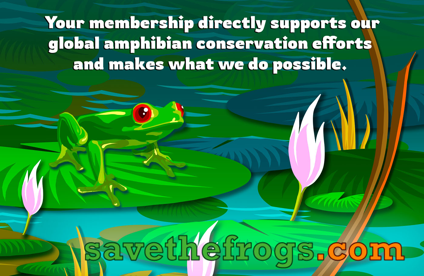 membership save the frogs