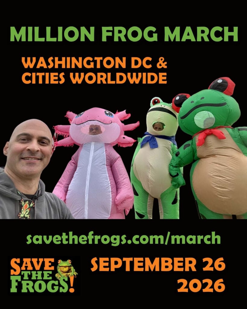 Million Frog March Icon 2026 Vertical 4x5 1080