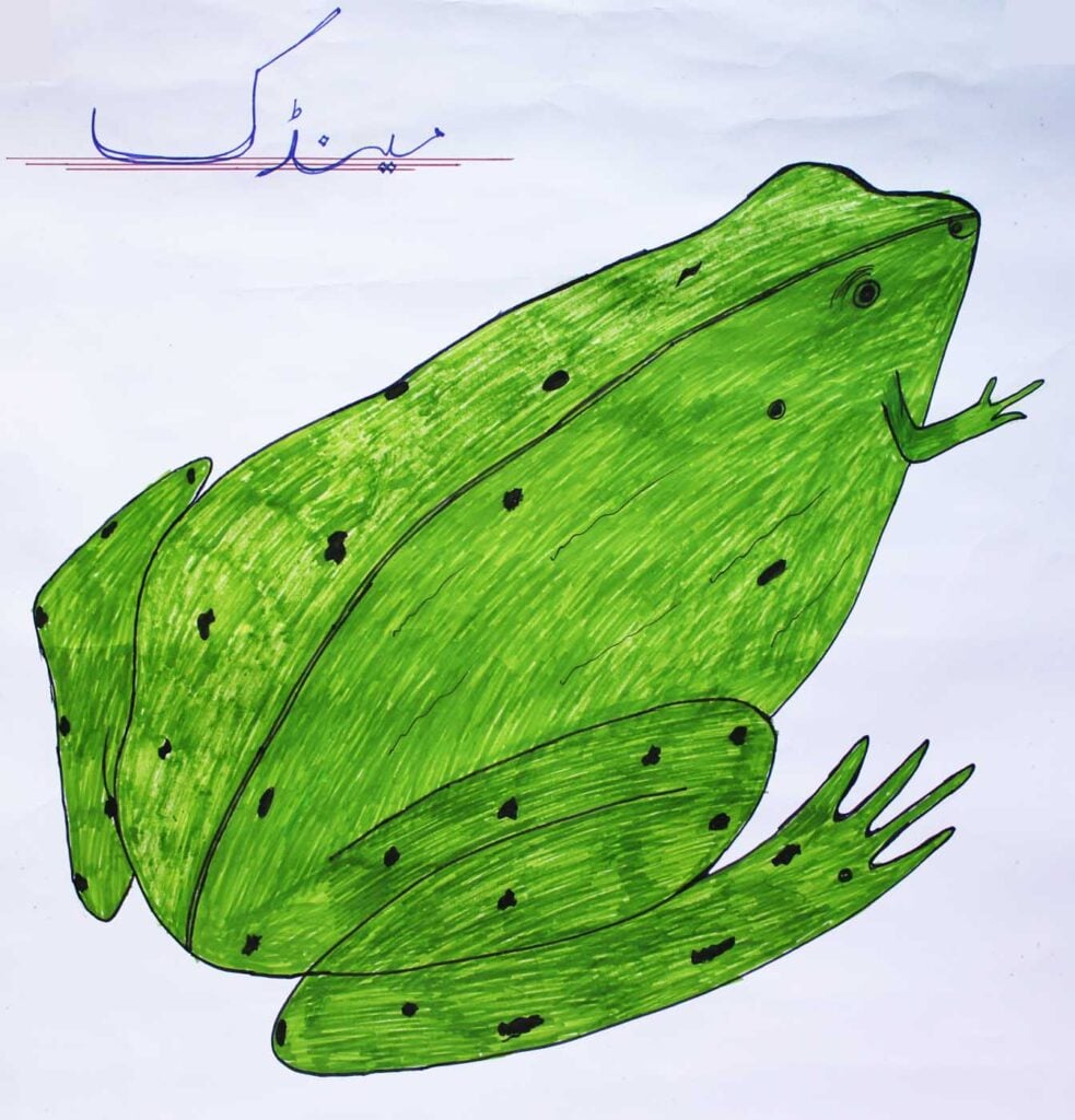 Pakistan Ghs Bilalabad Day 1 Save The Frogs Day 2026 Ahmed Junaid 42