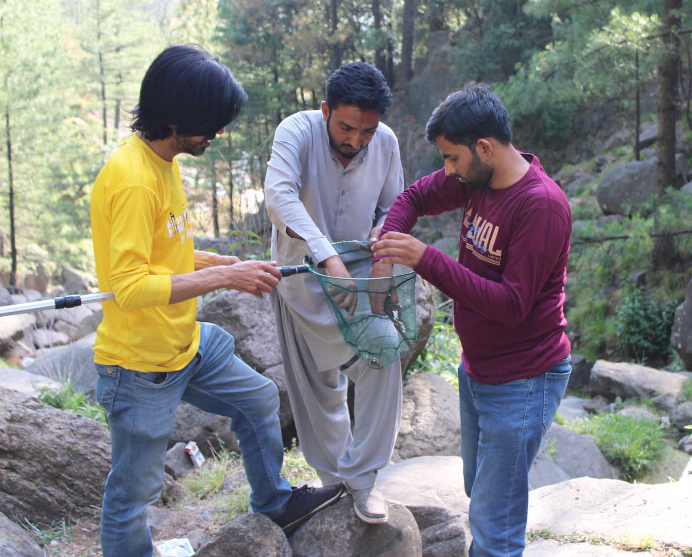 Pakistan Murree Punjab 2026-06-06 Field Day Save The Frogs Day Ahmed Junaid 53