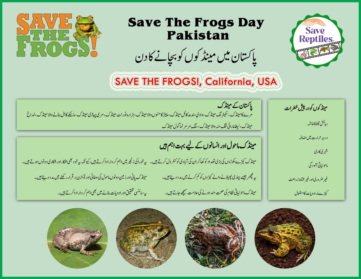 Pakistan Save The Frogs Day 2026 Brochure Ahmed Junaid