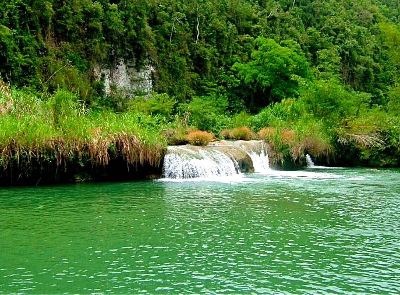 philippines-rainforest-wetland-envato