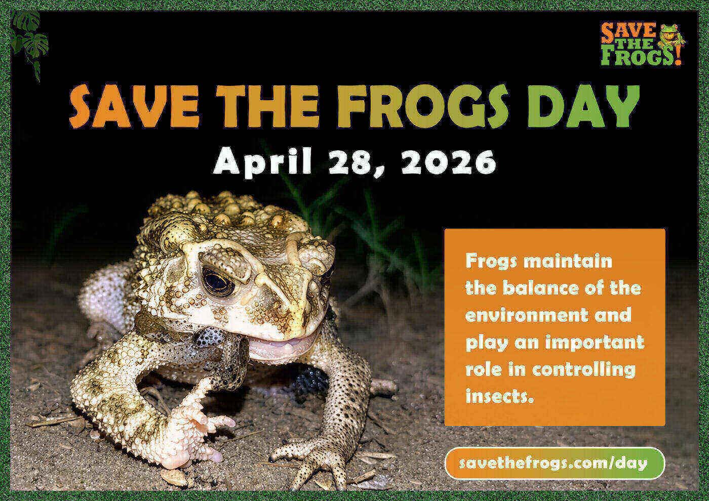 Save The Frogs Day flyer by Rimon Islam, Honorable Mention