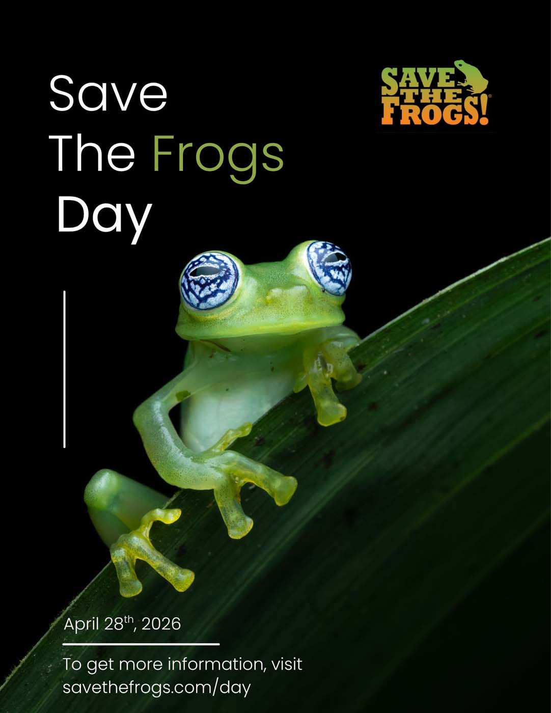 Save The Frogs Day flyer by Robert Arellano, Honorable Mention