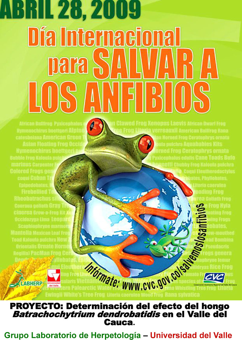 Save the frogs day 2009 cali colombia fernando castro 1
